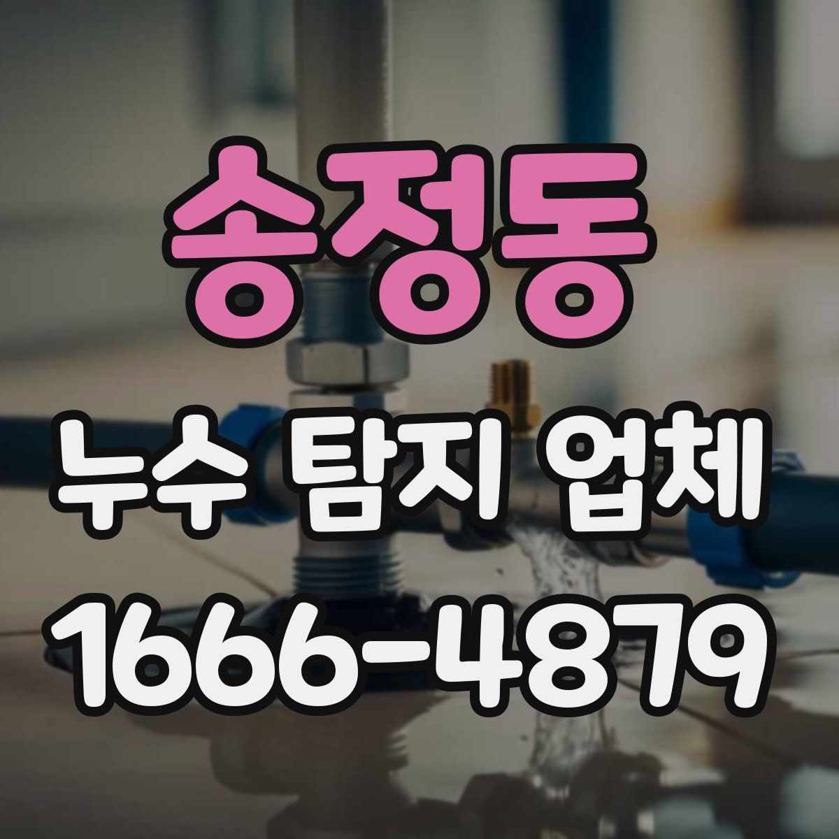 송정동 누수 탐지 업체
