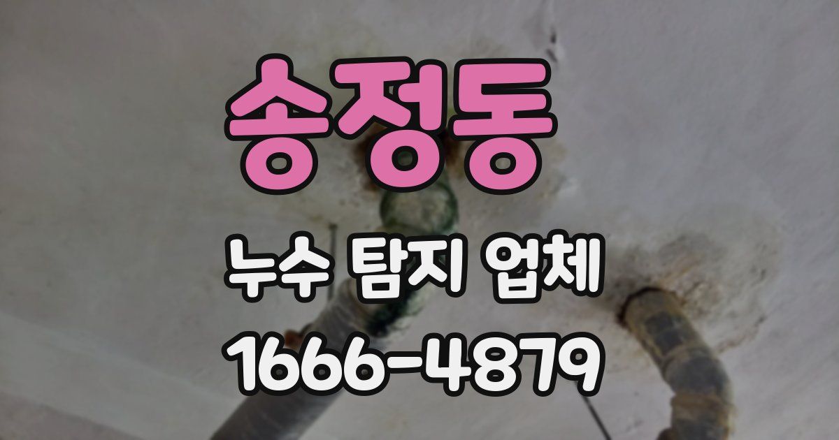 송정동 누수 탐지 업체