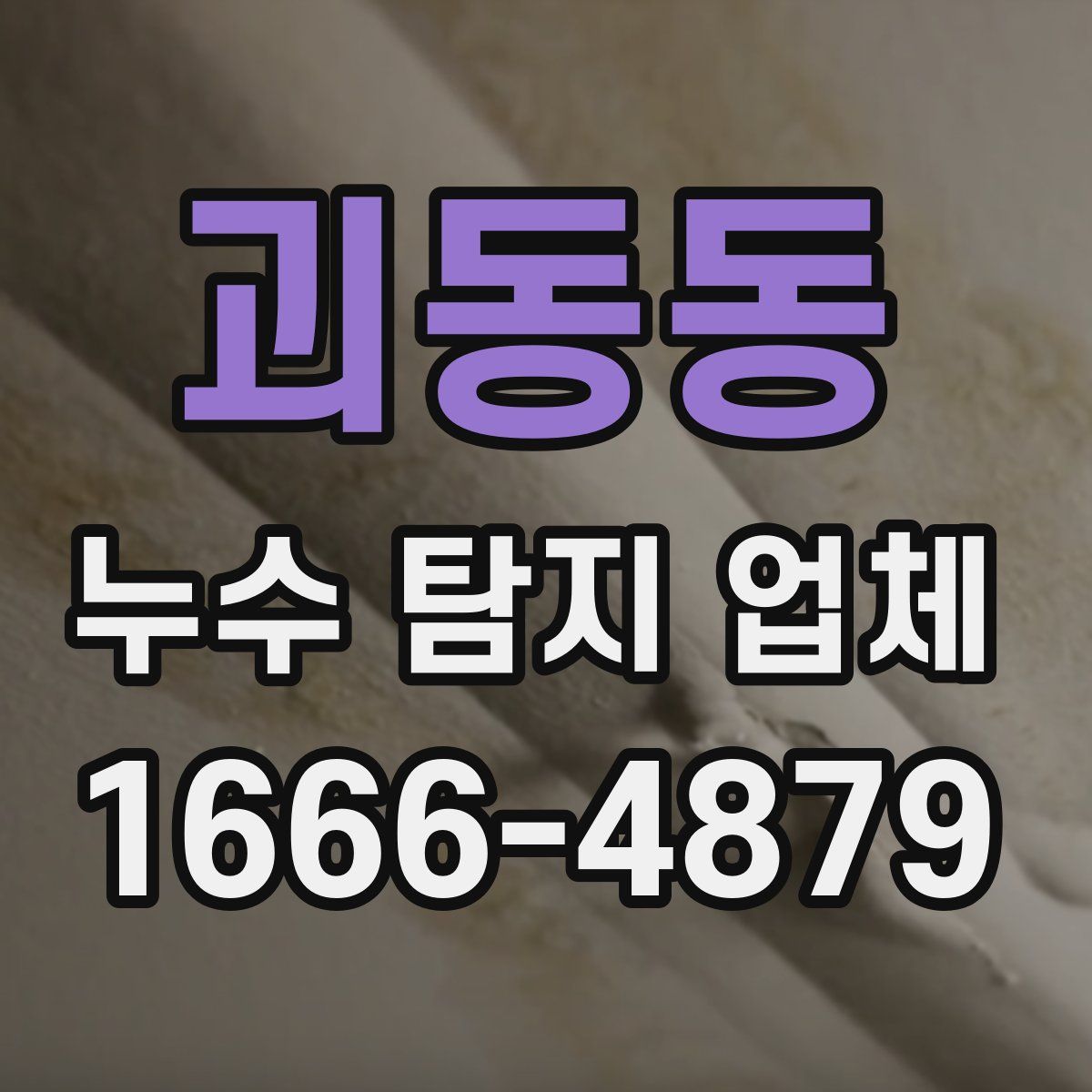 괴동동 누수 탐지 업체