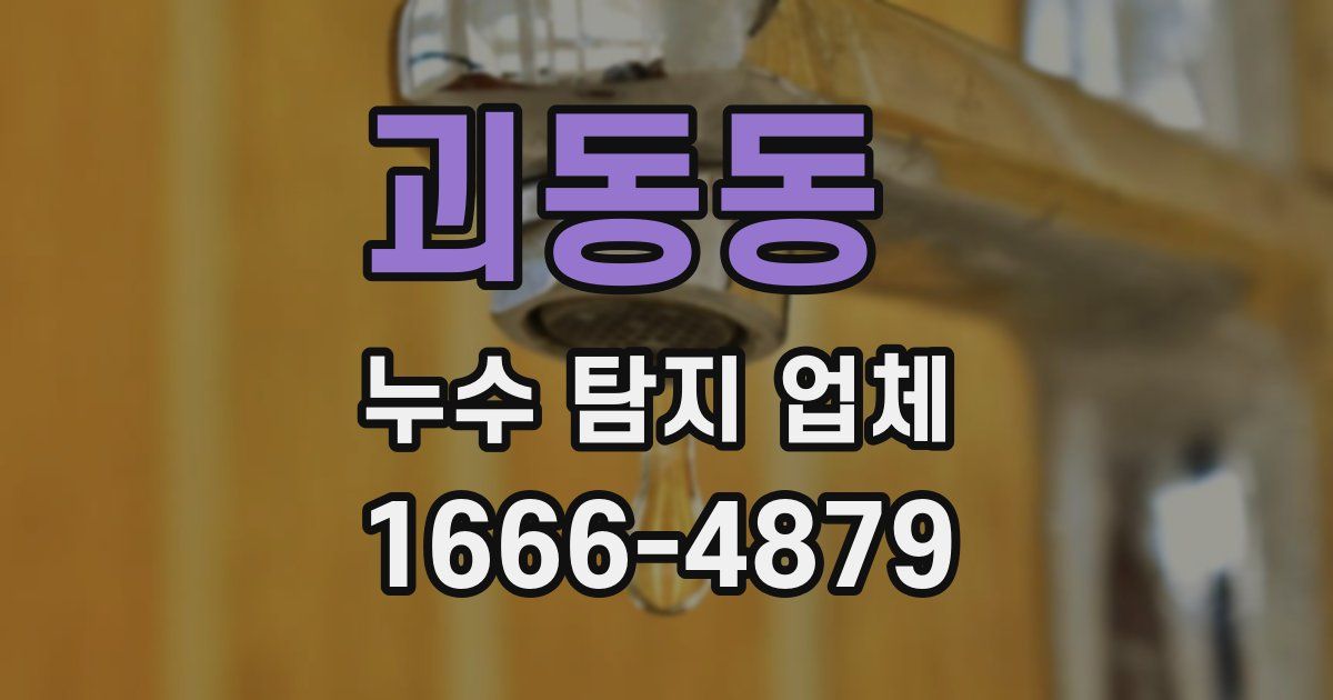 괴동동 누수 탐지 업체