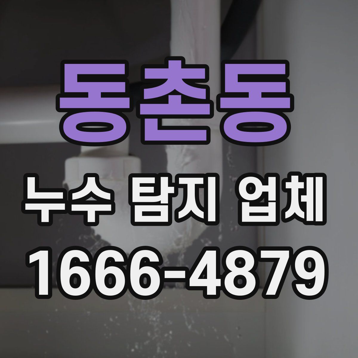 동촌동 누수 탐지 업체