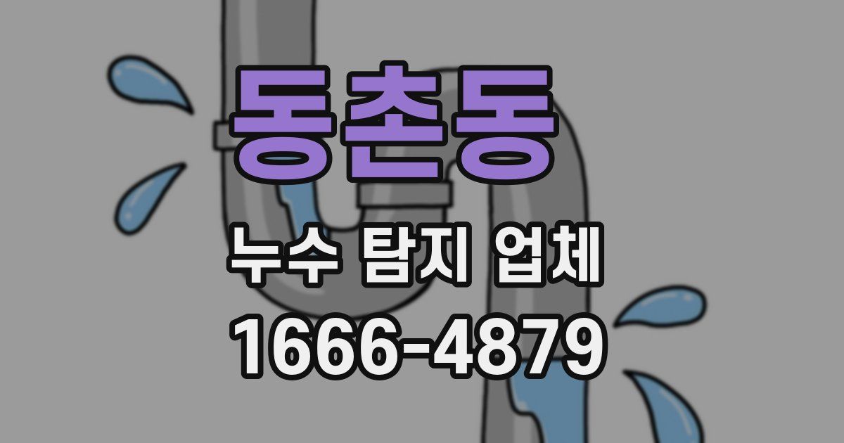 동촌동 누수 탐지 업체