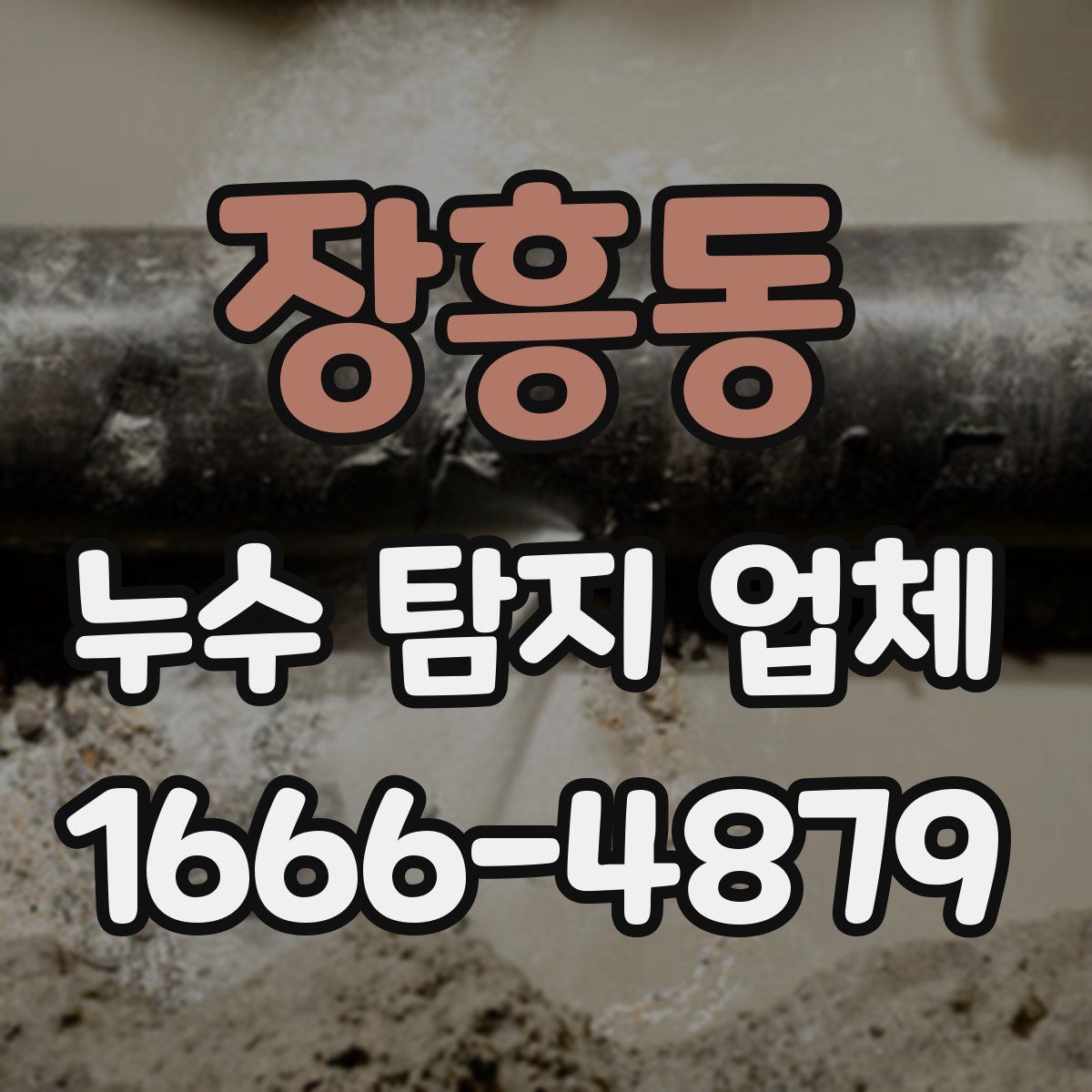 장흥동 누수 탐지 업체