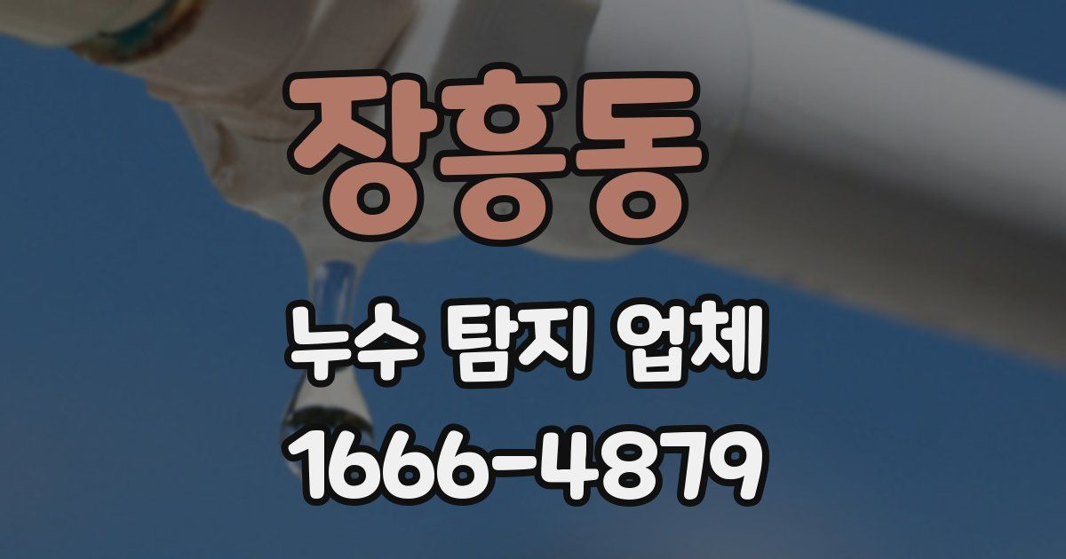 장흥동 누수 탐지 업체