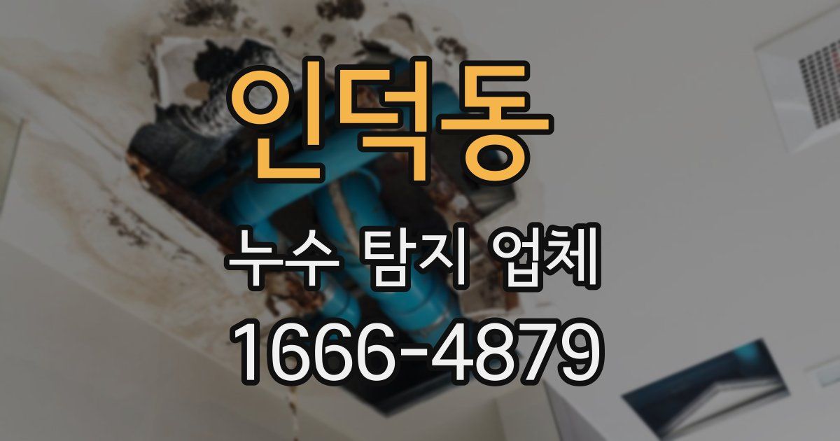 인덕동 누수 탐지 업체