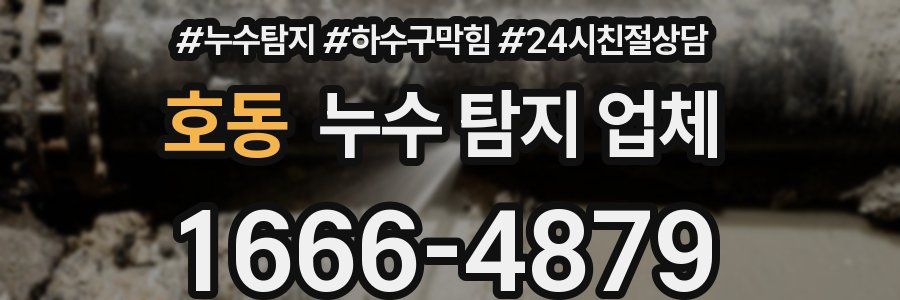 호동 누수 탐지 업체