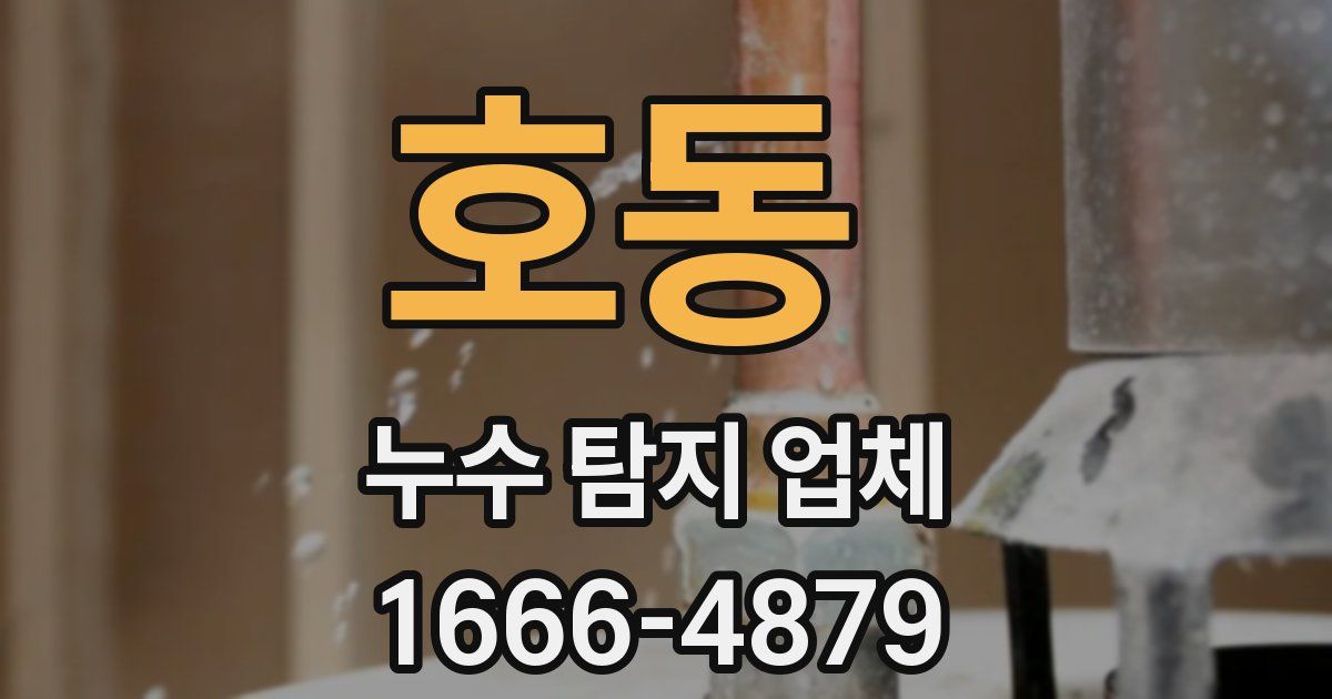 호동 누수 탐지 업체