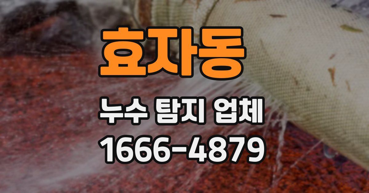 효자동 누수 탐지 업체