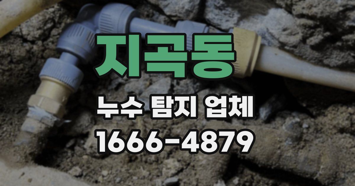 지곡동 누수 탐지 업체