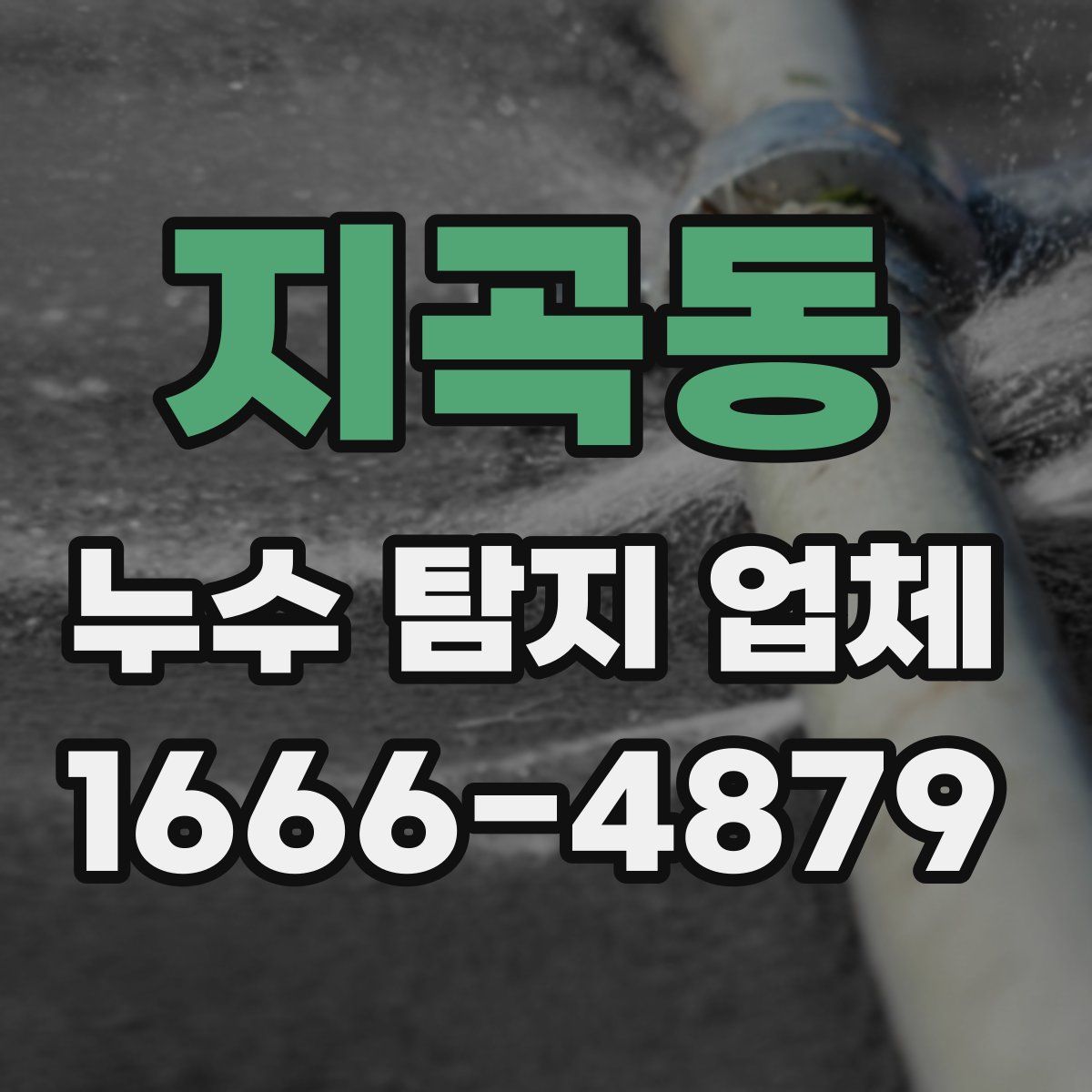 지곡동 누수 탐지 업체