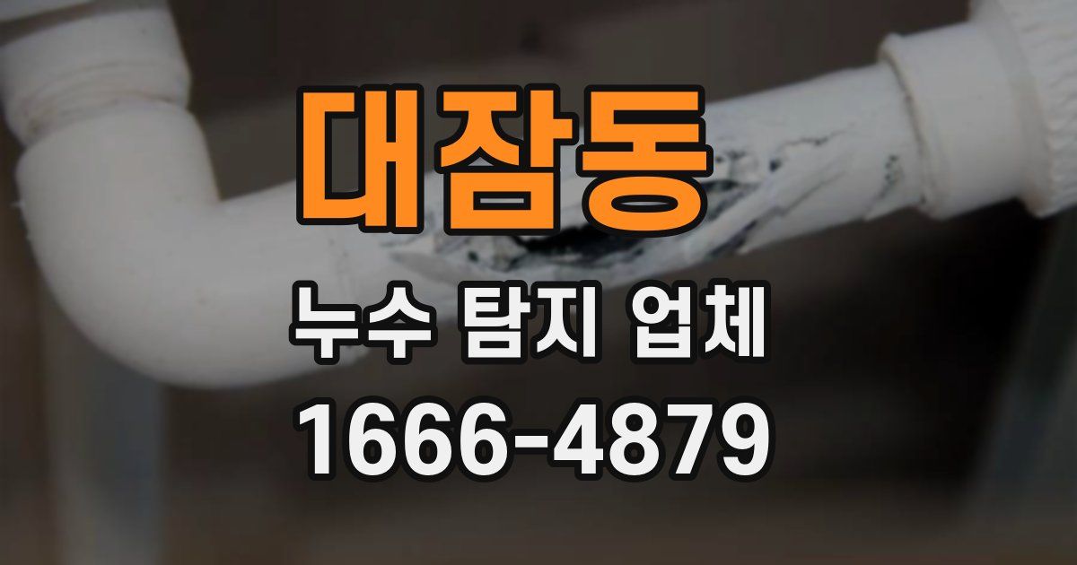 대잠동 누수 탐지 업체