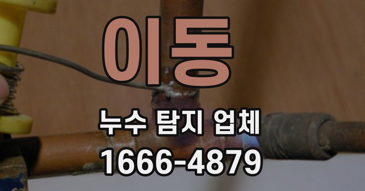 이동 누수 탐지 업체