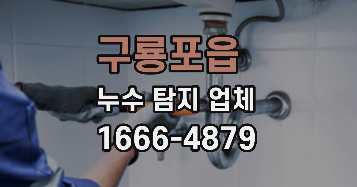 구룡포읍 누수 탐지 업체