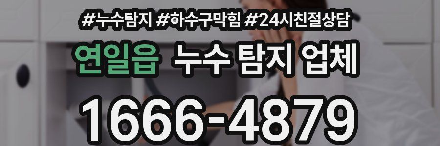 연일읍 누수 탐지 업체