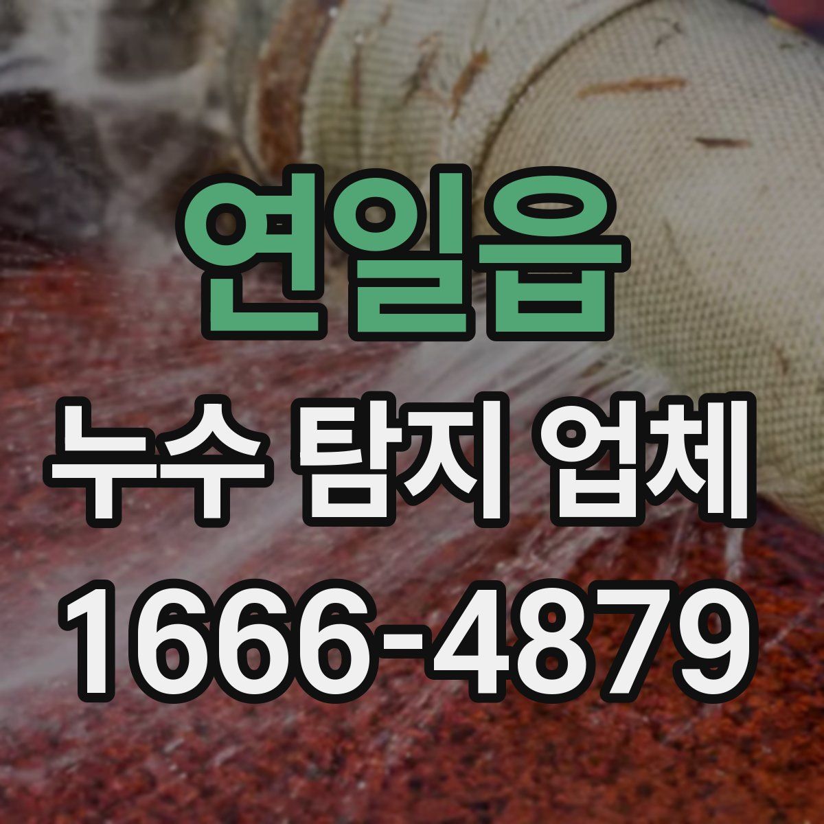 연일읍 누수 탐지 업체