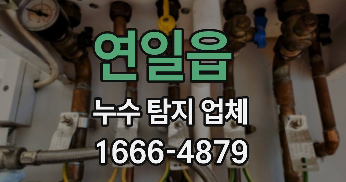 연일읍 누수 탐지 업체