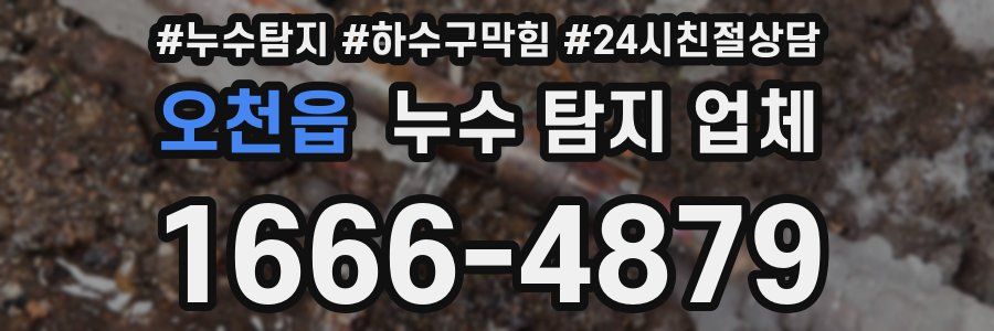 오천읍 누수 탐지 업체