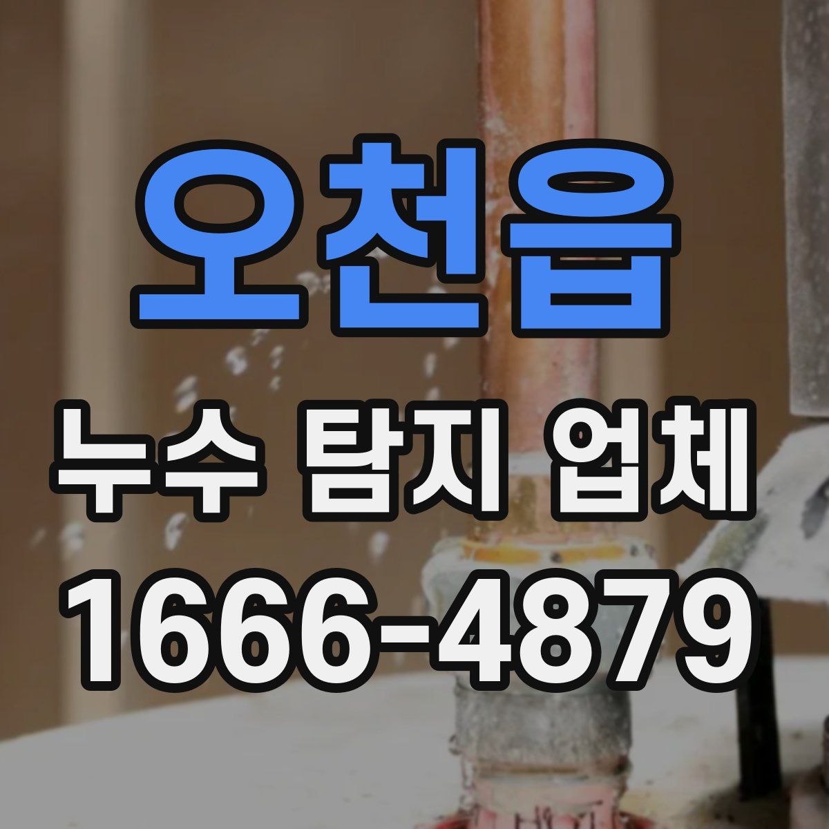오천읍 누수 탐지 업체