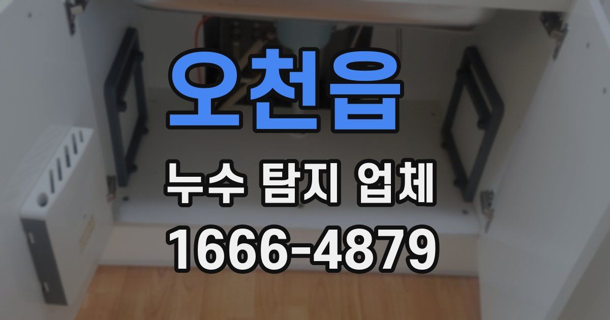 오천읍 누수 탐지 업체