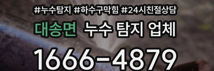 대송면 누수 탐지 업체