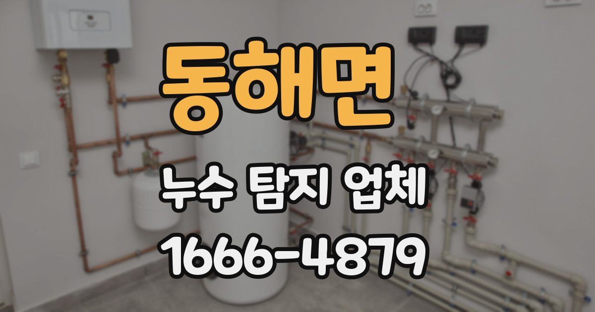 동해면 누수 탐지 업체