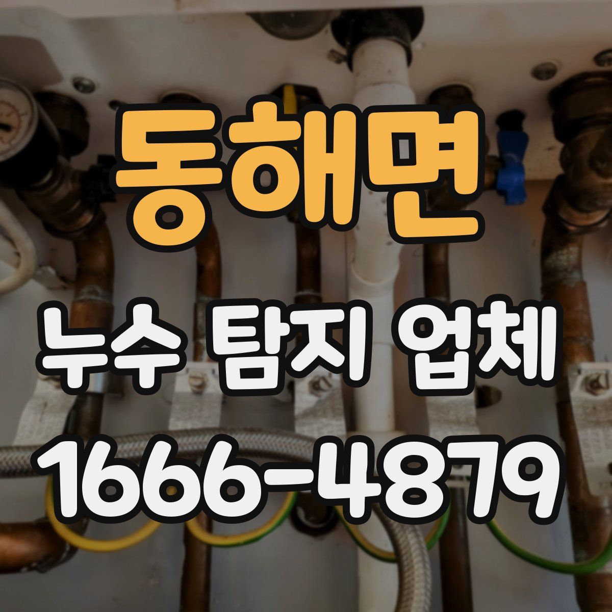 동해면 누수 탐지 업체
