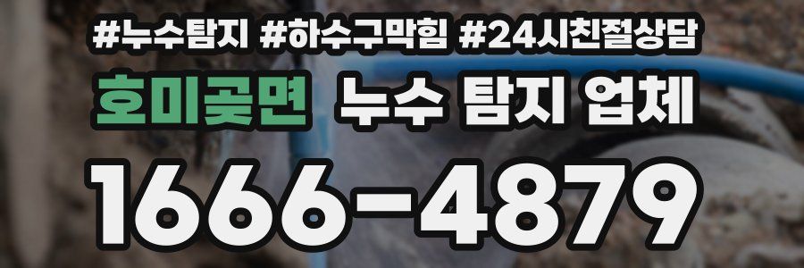 호미곶면 누수 탐지 업체