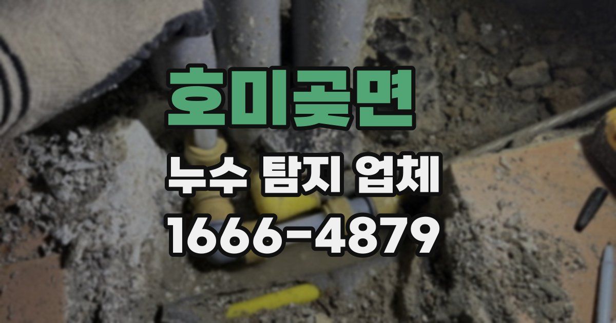 호미곶면 누수 탐지 업체