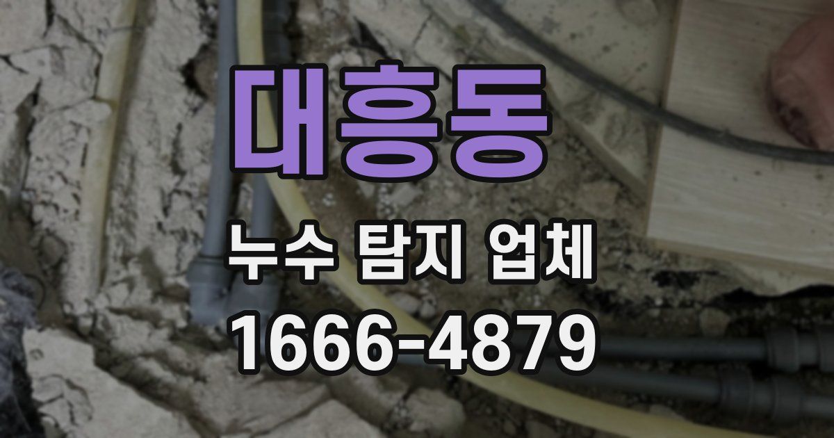 대흥동 누수 탐지 업체