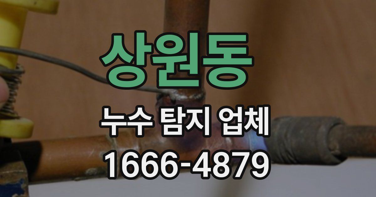 상원동 누수 탐지 업체