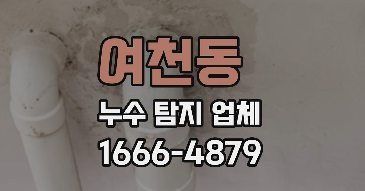 여천동 누수 탐지 업체