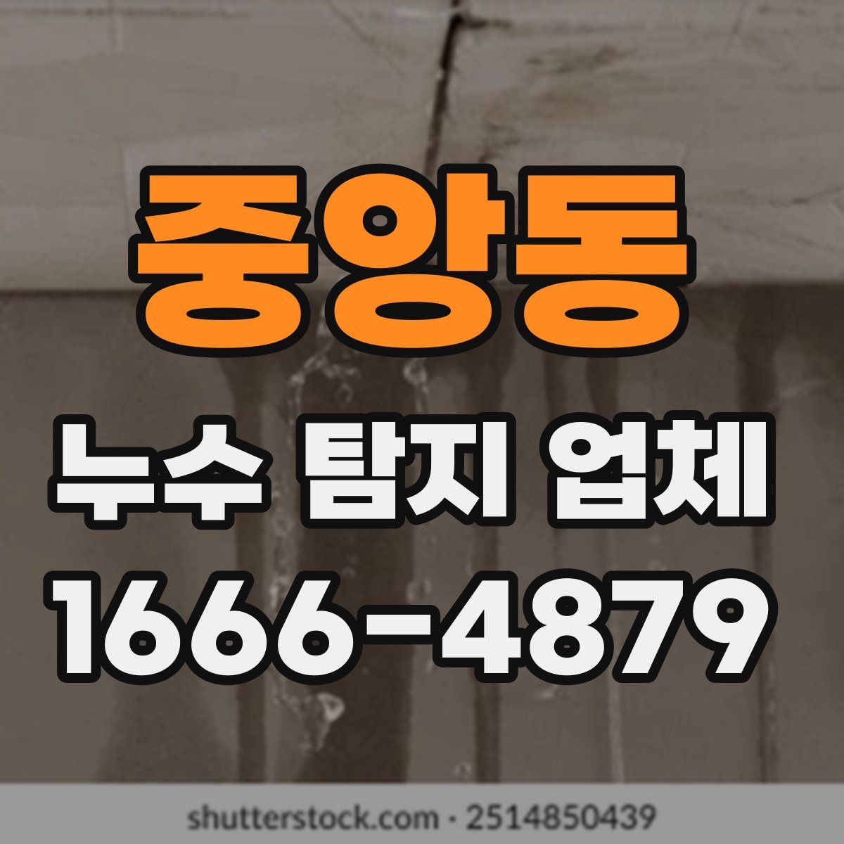 중앙동 누수 탐지 업체