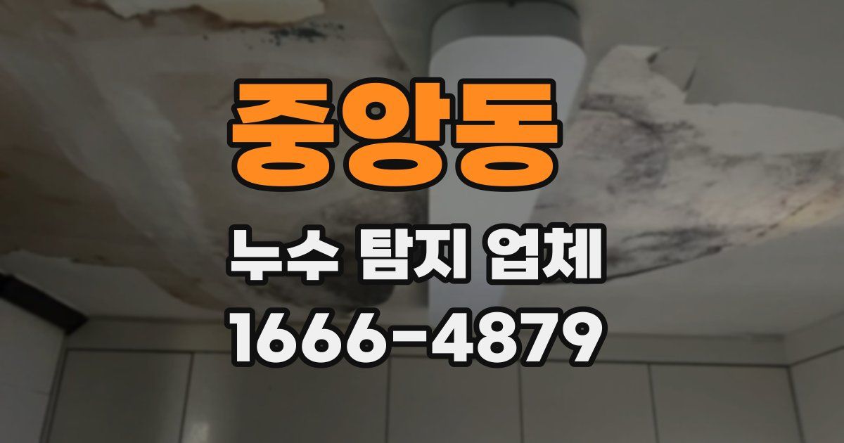 중앙동 누수 탐지 업체