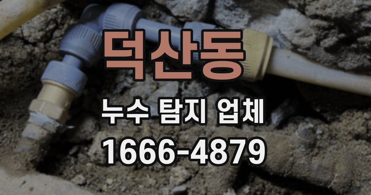 덕산동 누수 탐지 업체