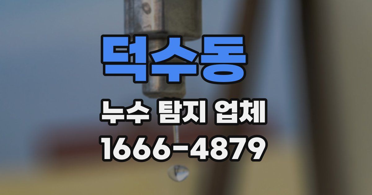 덕수동 누수 탐지 업체