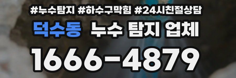 덕수동 누수 탐지 업체