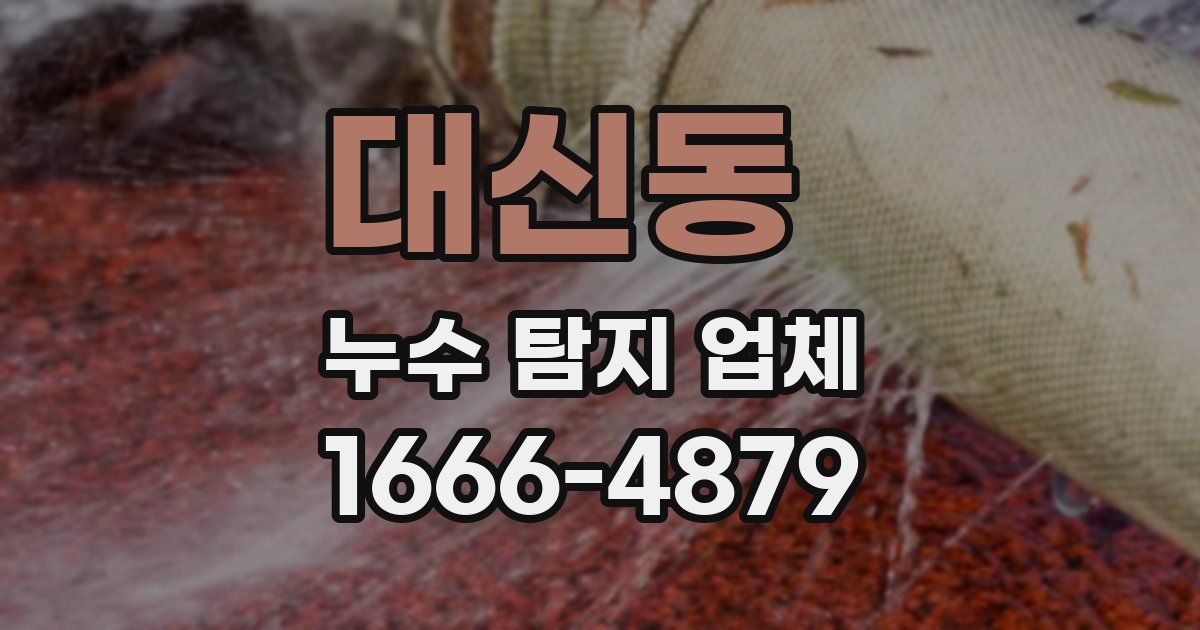 대신동 누수 탐지 업체