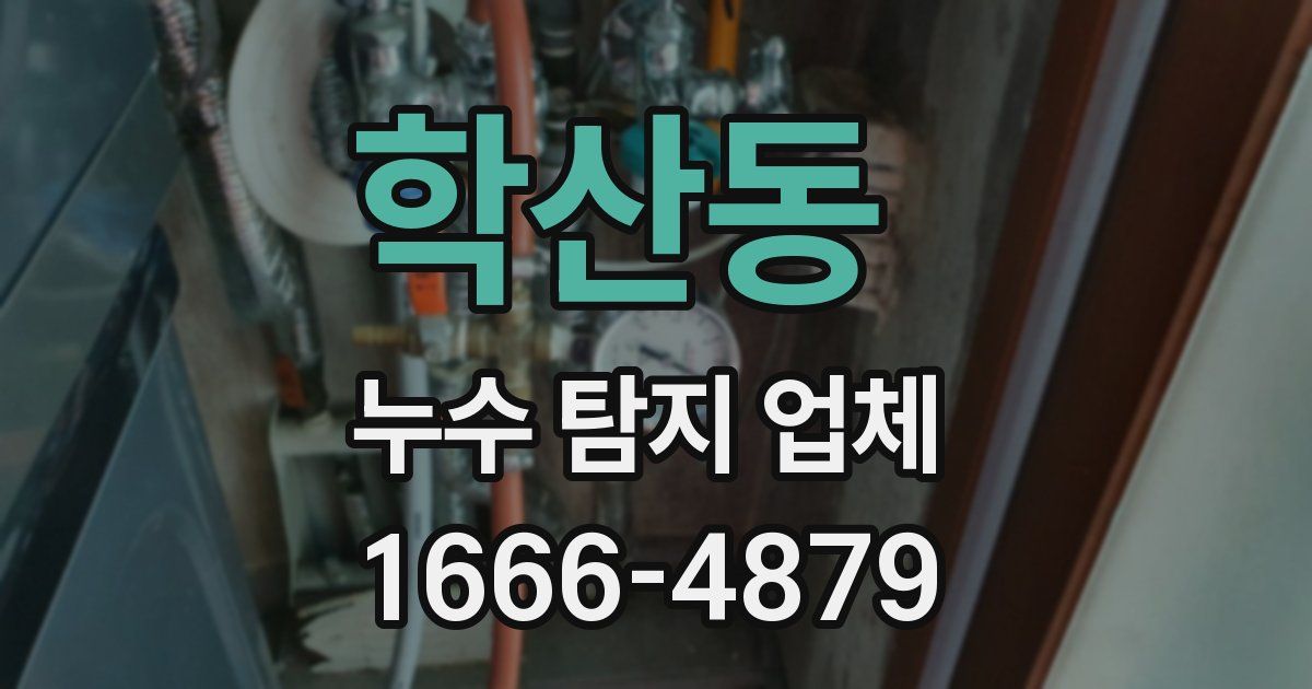 학산동 누수 탐지 업체