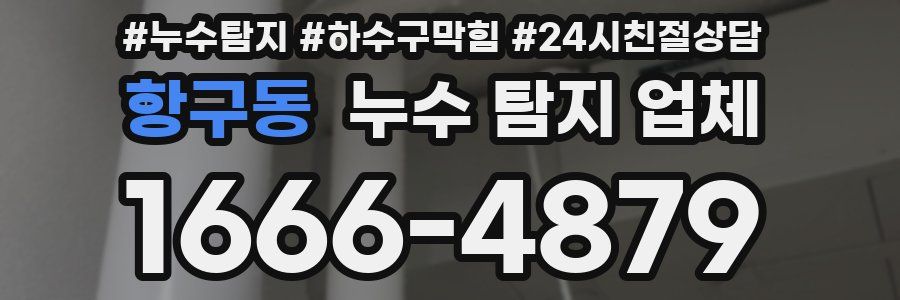 항구동 누수 탐지 업체