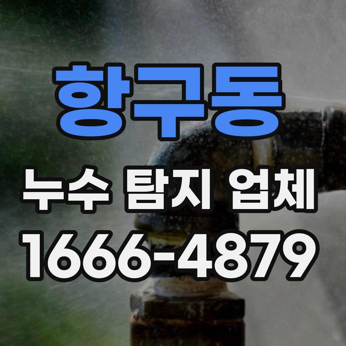 항구동 누수 탐지 업체