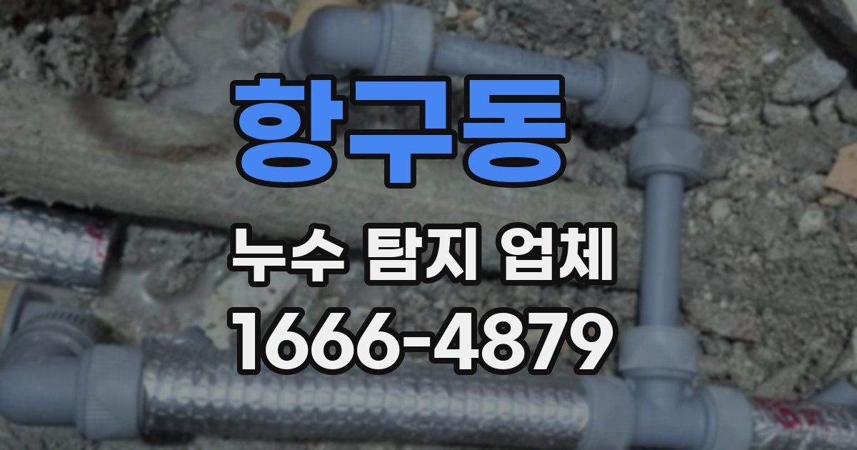 항구동 누수 탐지 업체