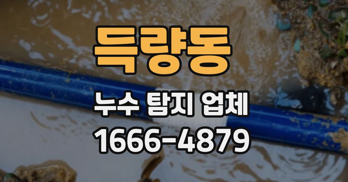 득량동 누수 탐지 업체