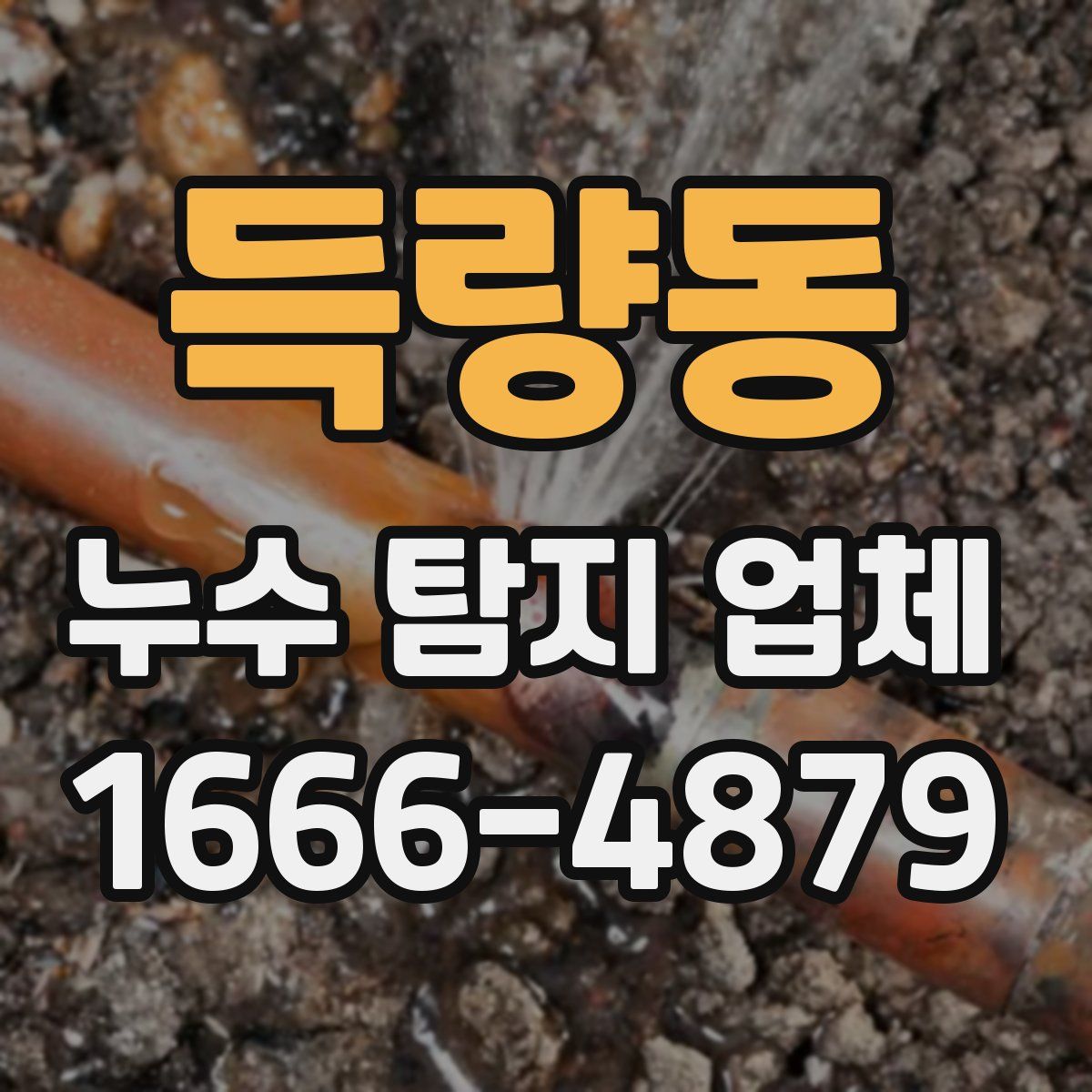 득량동 누수 탐지 업체