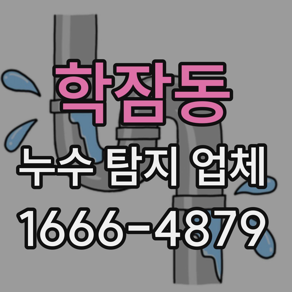 학잠동 누수 탐지 업체