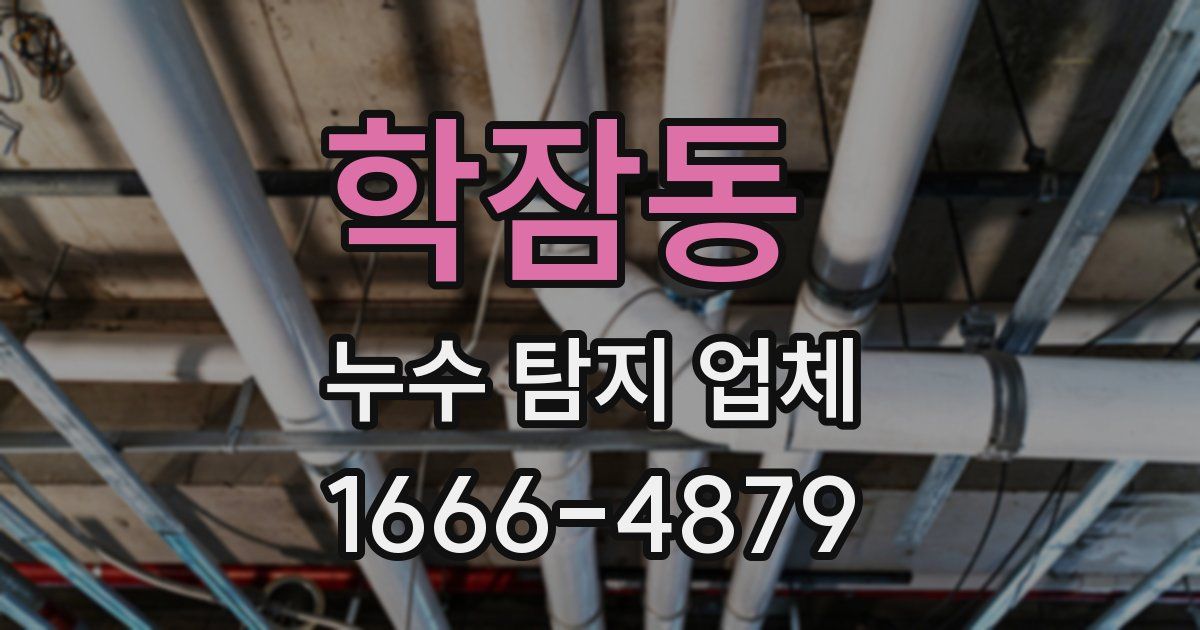 학잠동 누수 탐지 업체