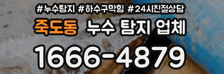죽도동 누수 탐지 업체