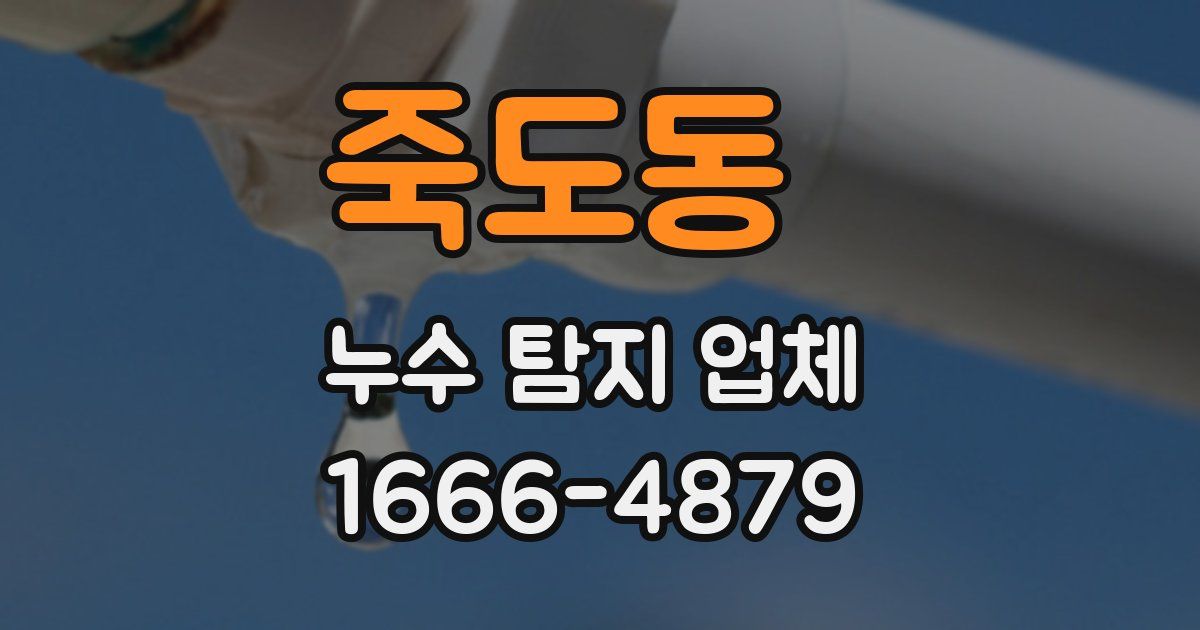 죽도동 누수 탐지 업체