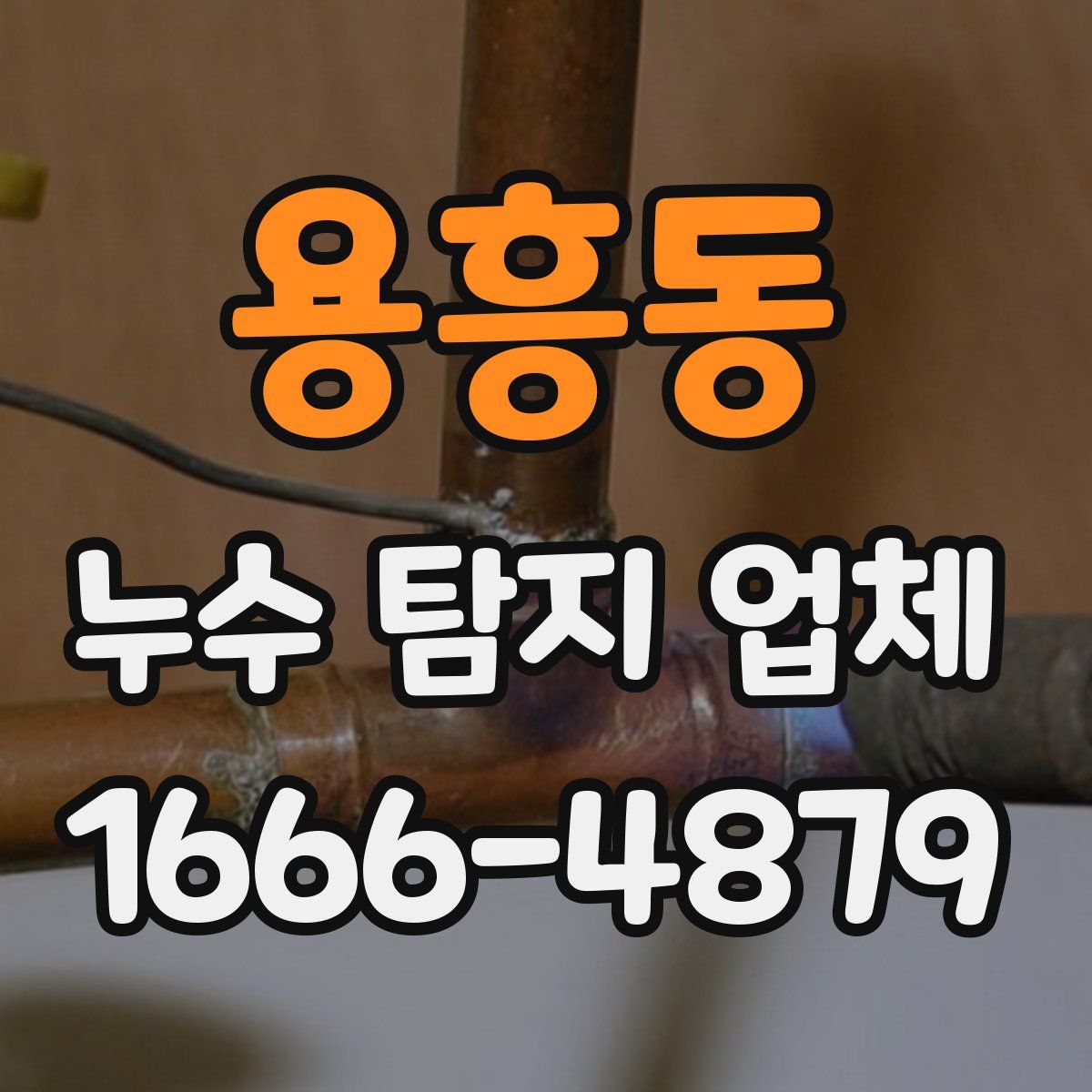 용흥동 누수 탐지 업체