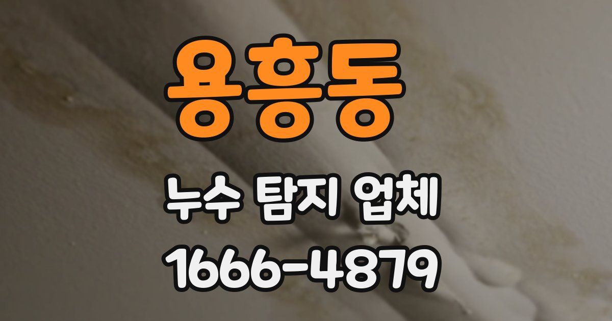 용흥동 누수 탐지 업체