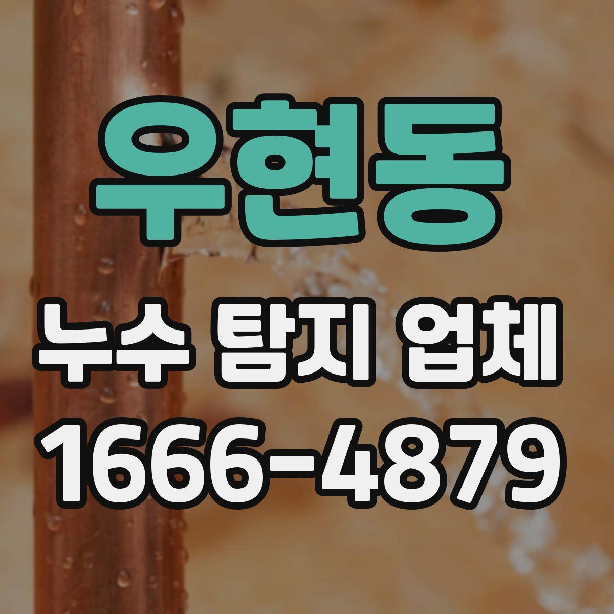 우현동 누수 탐지 업체
